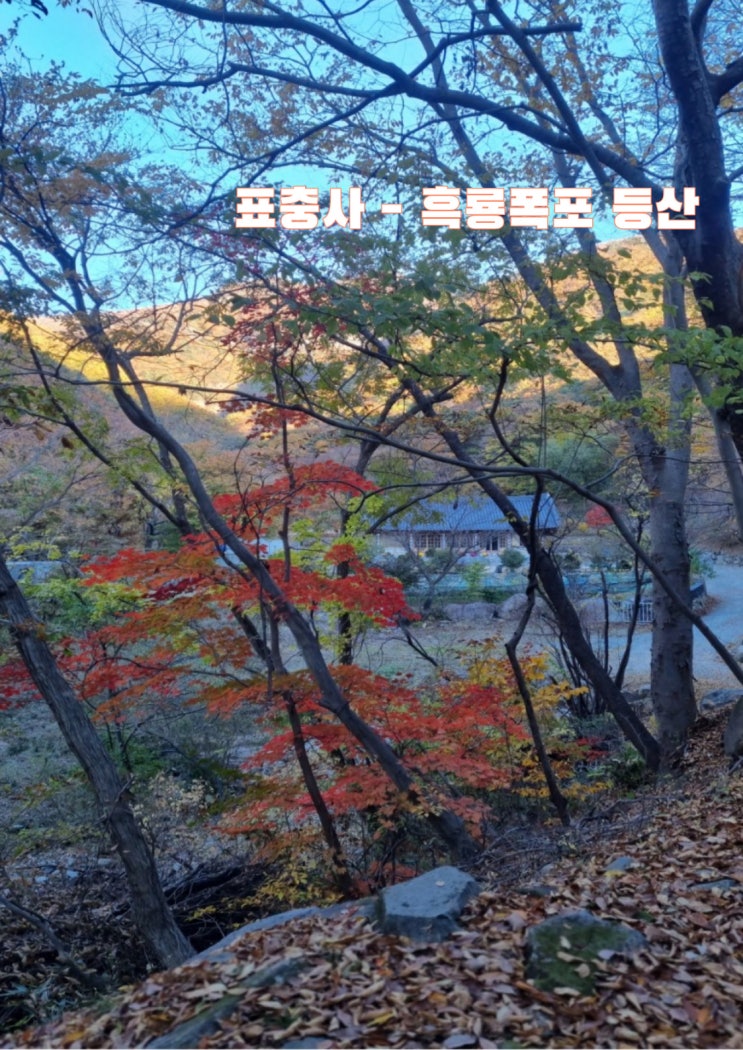  표충사에서 흑룡폭포 전망대까지 밀양 재약산 생태관광 탐방로 밀양 사찰 가을 산행