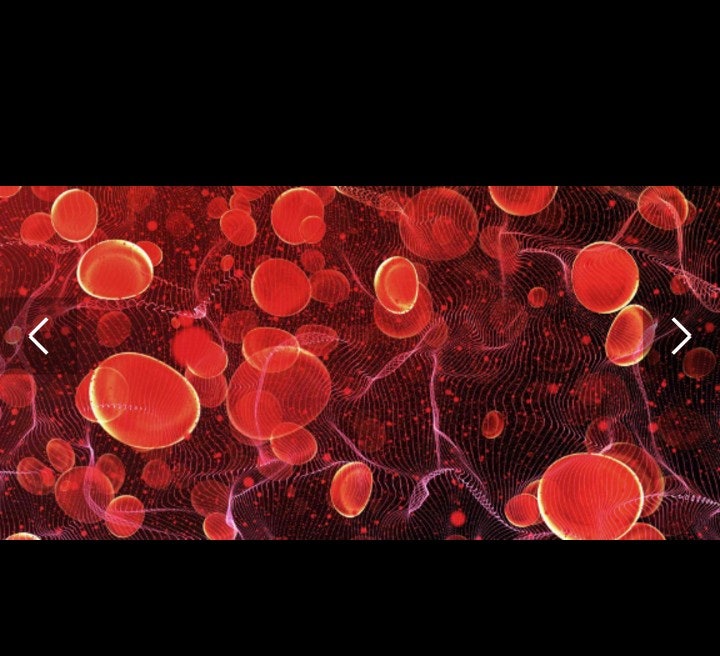 저혈당 증상 수치 원인 쇼크 : 혈당 정상수치 공복혈당수치 낮추기