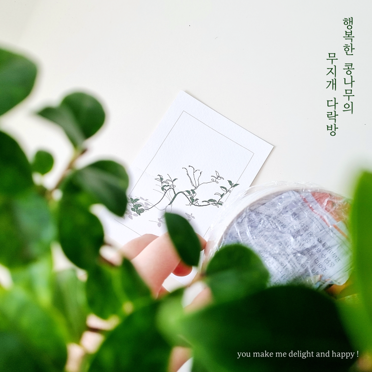  나를 행복하게 만드는 너에게 ; 첫 번째 식물 일기