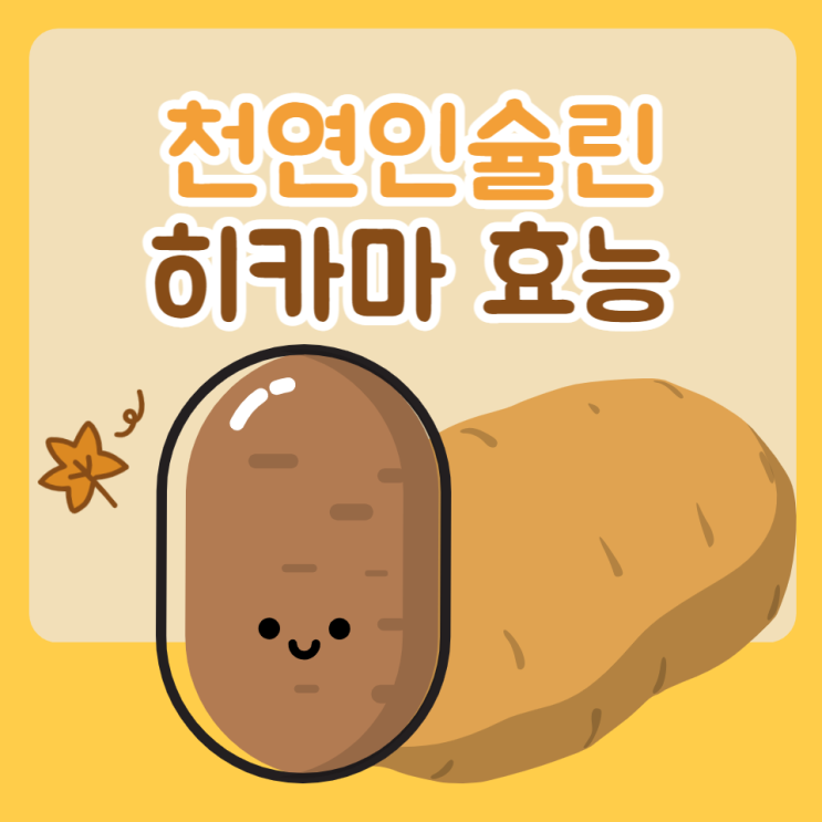 히카마 부작용 주의 천연 인슐린 히카마 효능 먹는법 보관법 히카마 부작용 주의 천연 인슐린 히카마 효능 먹는법 보관법