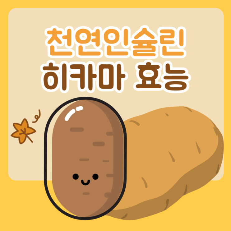 히카마 부작용 주의 천연 인슐린 히카마 효능 먹는법 보관법