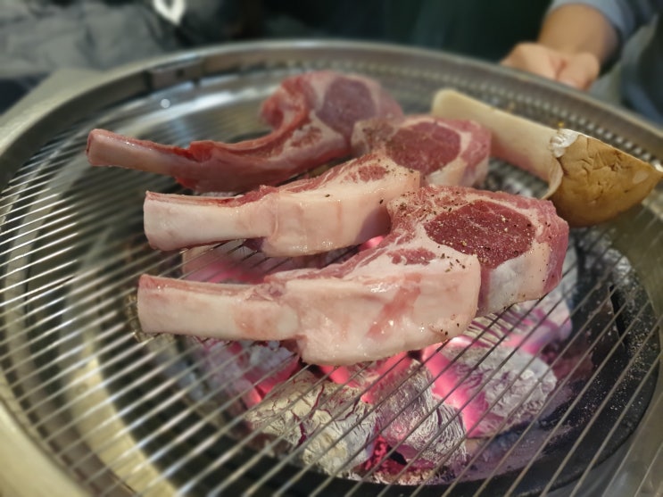  은평구 양꼬치 맛집 혼양