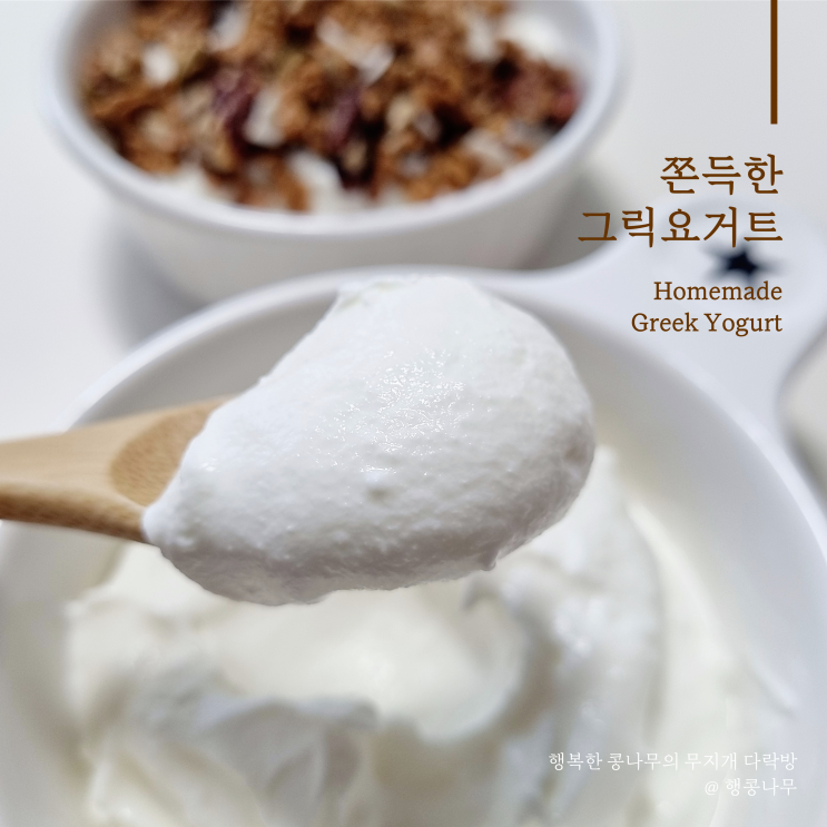  그릭요거트 쫀득하게 만들기 feat 내돈내산 유청분리기 한달 사용후기