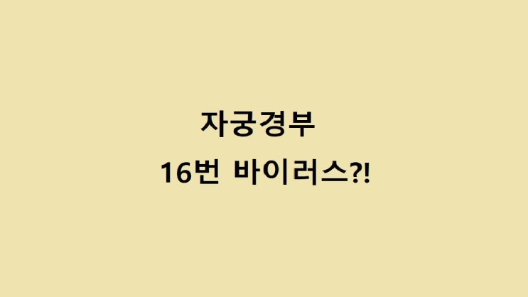  자궁경부 상피내암 판정부터 원추절제술 후 현재까지의 까지의 기록-2