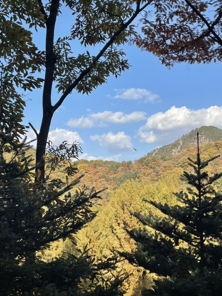 [CLOUDiary] 11월 첫째주 :: 가을🍁