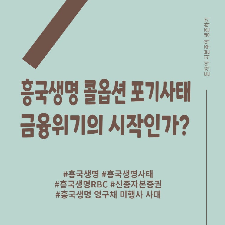  흥국생명 신종자본증권 콜옵션 포기 사태! 금융위기의 시작인가?