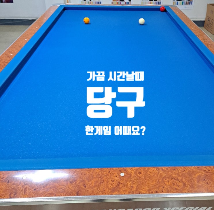  당구야 놀자~~(내년엔 대회 나갈 수 있을까?)