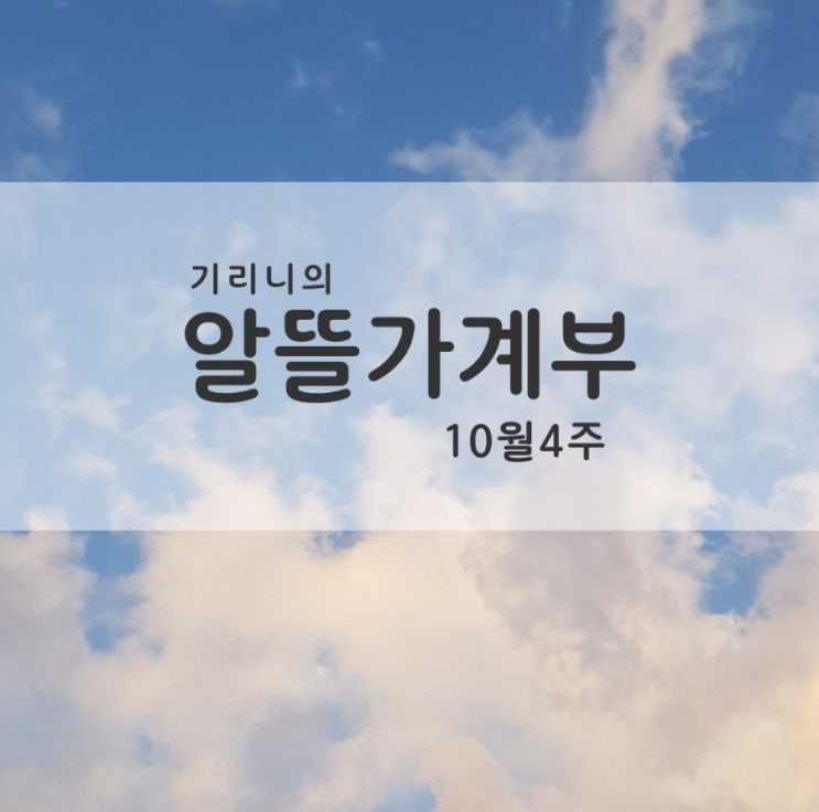  [가계부]서울자취/20대/여자/직장인 #22.10.24~30