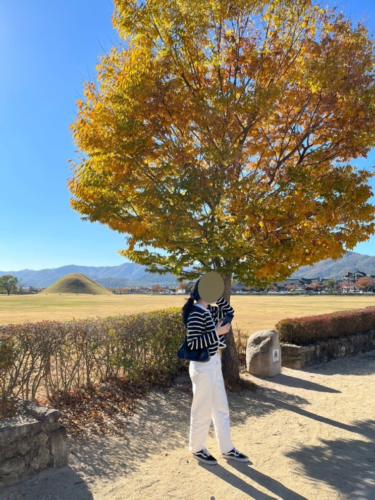   주간일기
