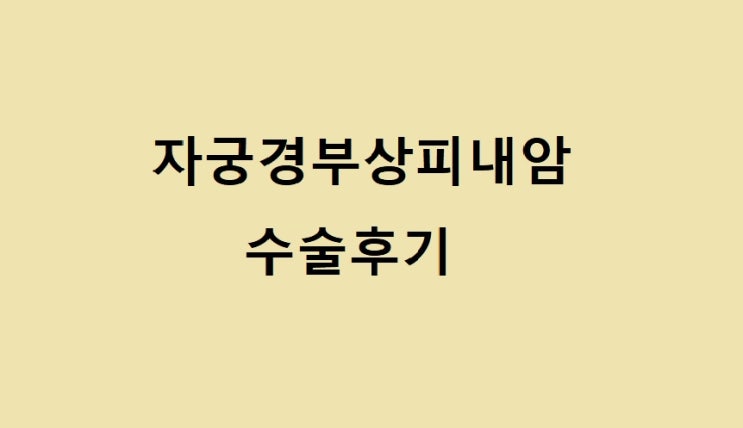  자궁경부 상피내암 판정부터 원추절제술 후 현재까지의 까지의 기록-6