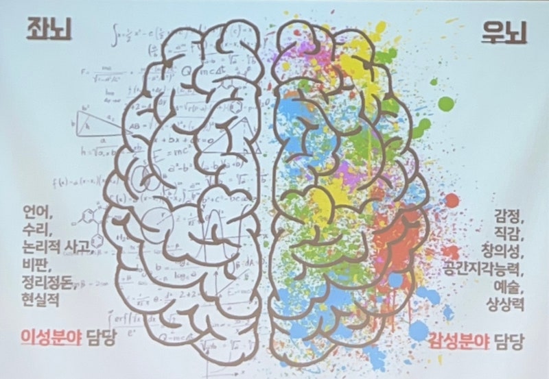 간단한 좌뇌 우뇌 테스트 / 색깔 의미 심리 테스트 : 네이버 블로그