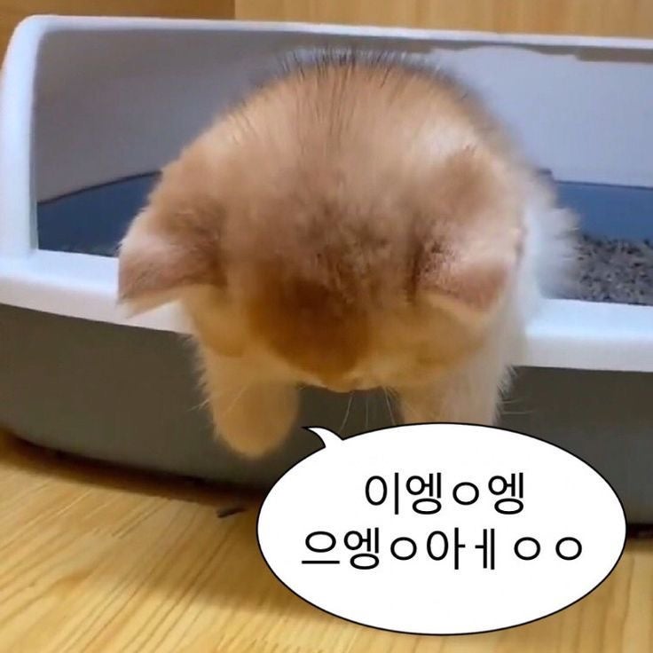 [ 11월 1주차 ] 21살에 얼굴 대상포진걸린 찐후기 [혐주의]