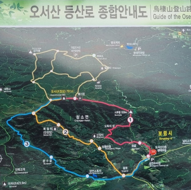 최고의 여행지_충남 보령에서 찾는 볼거리 홍성 광천 오서산 억새