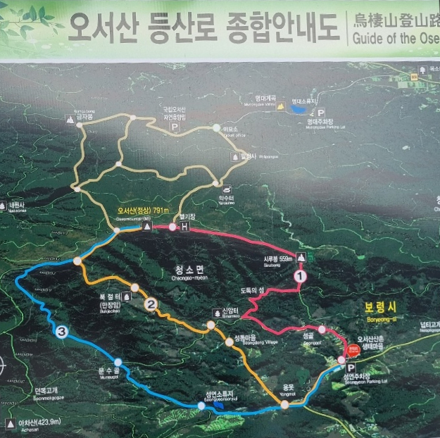 최고의 여행지_충남 보령에서 찾는 볼거리 홍성 광천 오서산 억새