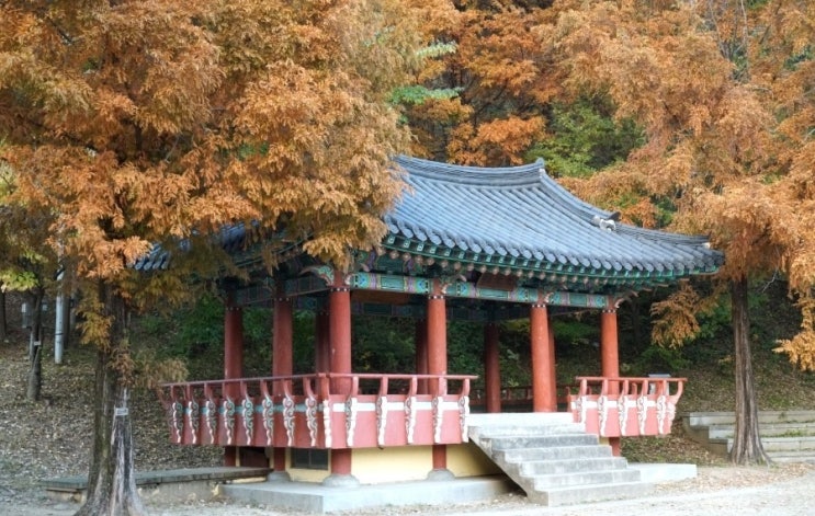 대전 대덕구 비래동 길치문화공원 - 대전육교 가을 산책