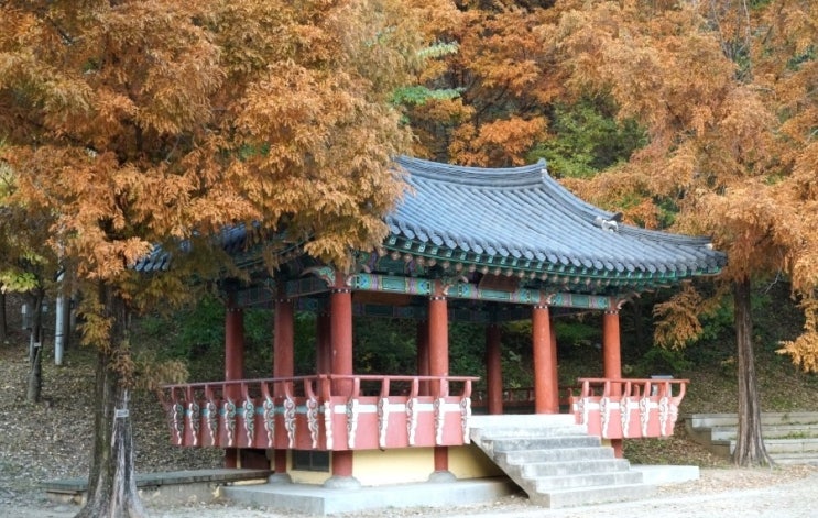  대전 대덕구 비래동 길치문화공원 - 대전육교 가을 산책