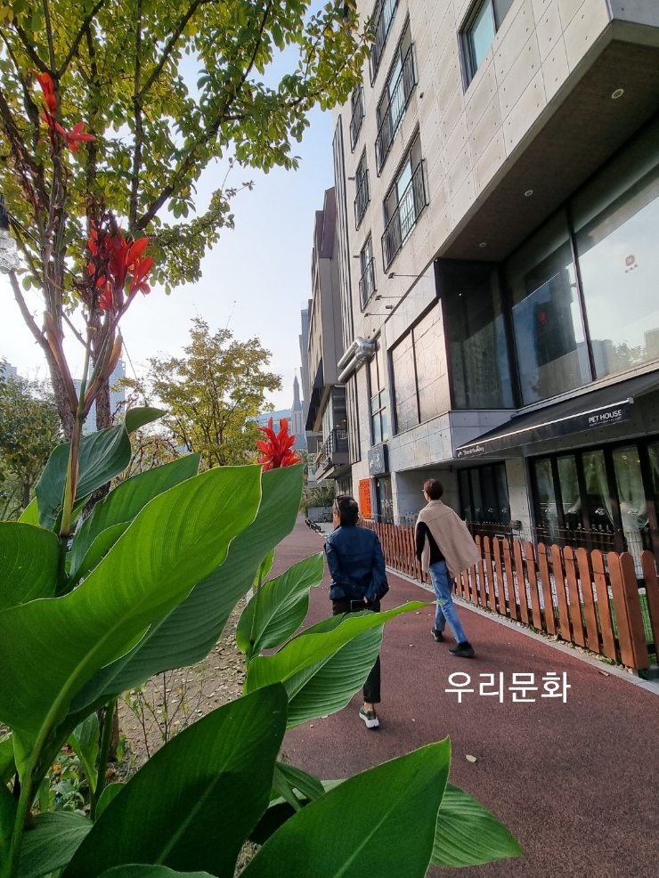 2022 가을 만끽(그래도팀 언니들과)벌써 11월 2022 가을 만끽(그래도팀 언니들과)벌써 11월
