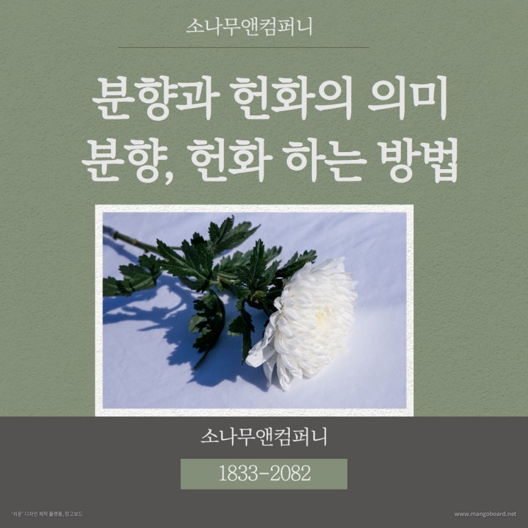  장례식장 조문 분향과 헌화의 차이와 하는 방법