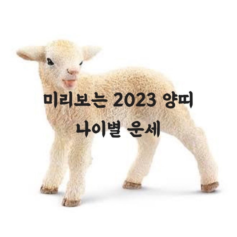 2024년 양띠 행운 금전운 결혼운 연애운 직장운 사업운 및 개운법