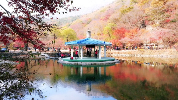  [전북] 정읍 단풍명소 끝장판 내장산단풍 (주차, 입장료)
