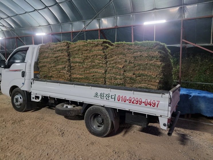  롤잔디 판매, 톤백잔디 판매, 전국잔디 판매(오늘도 늦게까지 작업)