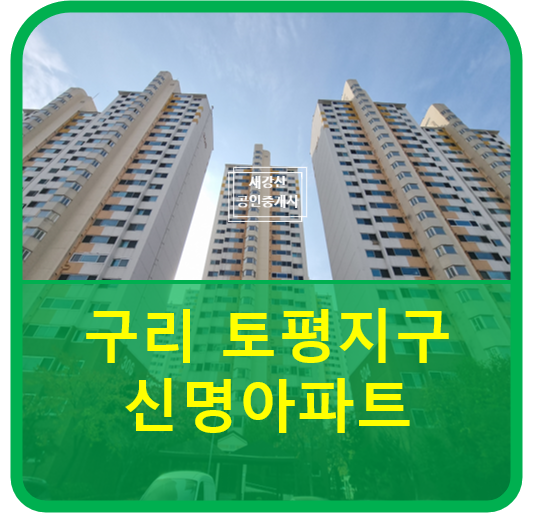  구리 토평지구 신명아파트 35py