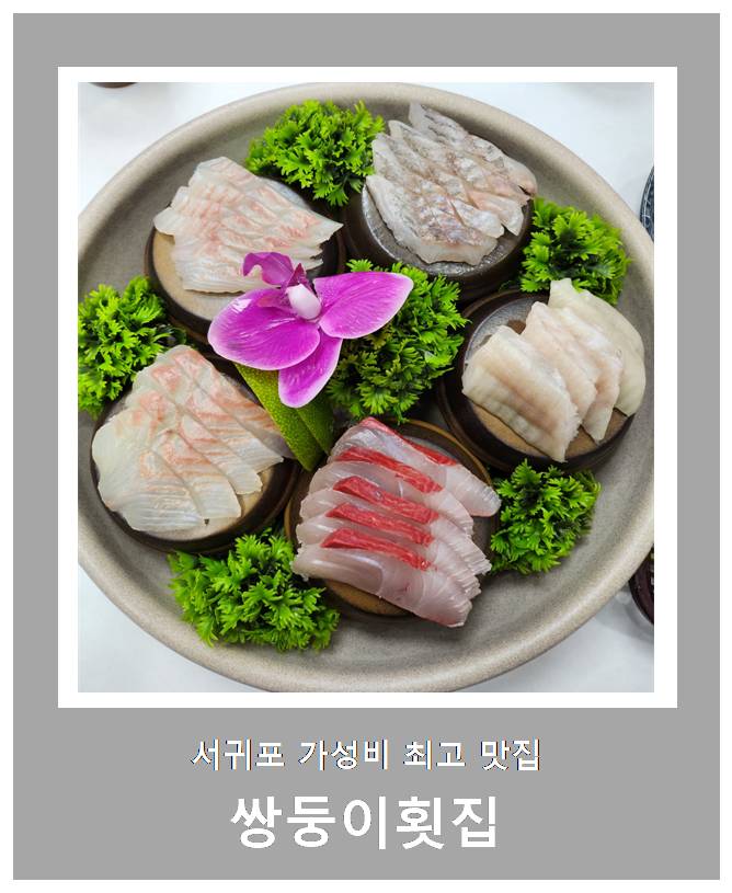 제주 서귀포 쌍둥이 횟집 제주 가성비 최고 맛집 스끼다시 맛집