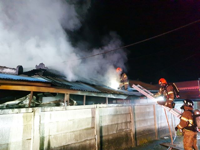 단독주택 화재사고 제주 양계장 병아리 1만마리 사망 폐사