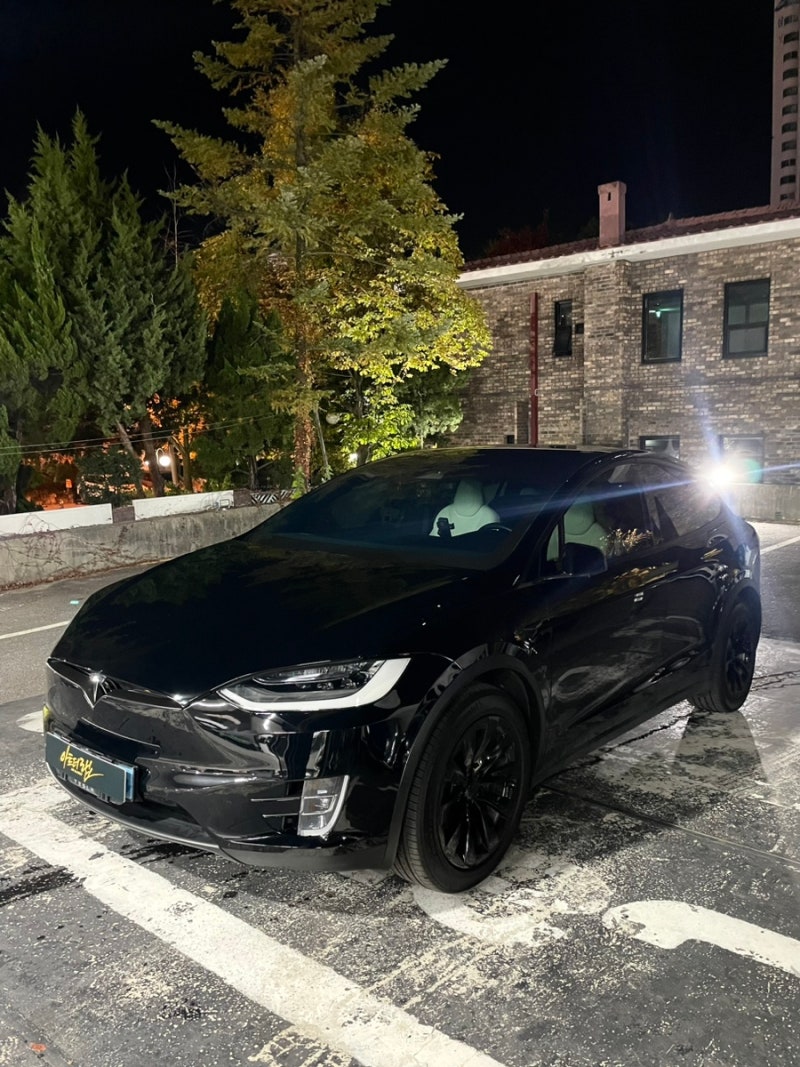 성남 판교 분당구 / PPF / 테슬라 / 모델X