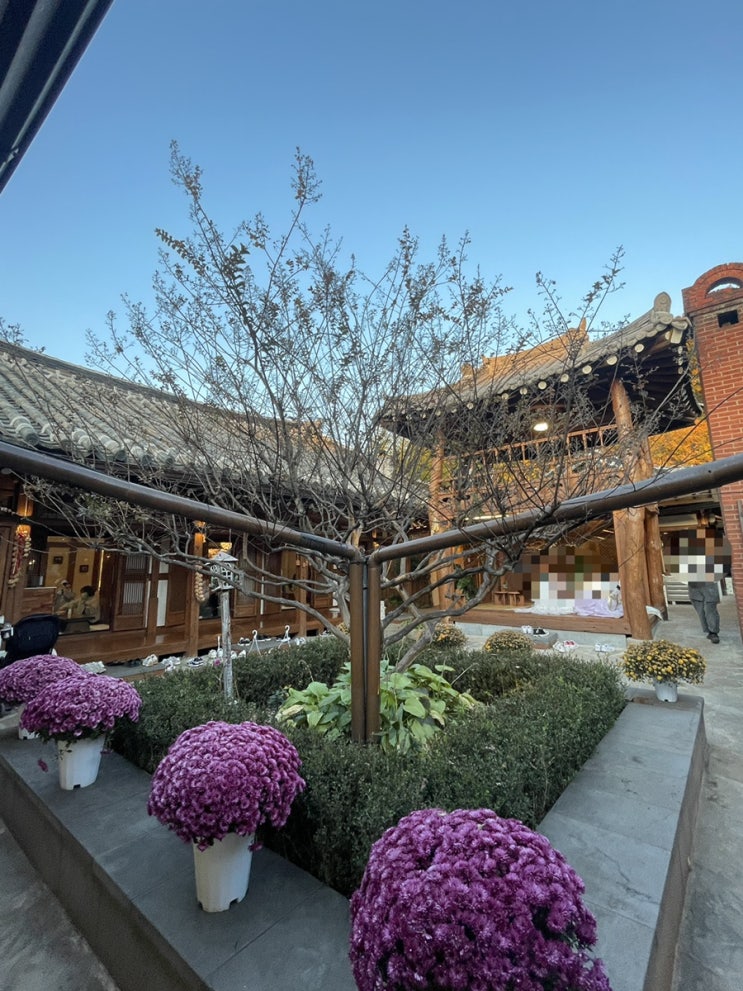  [전주]카페 이르리｜한옥 인테리어로 여기저기 예쁜 포토존이 가득한 전주한옥마을 카페 추천!!