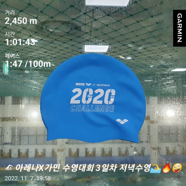  [수영일기] 아레나X가민 수영대회 3일차