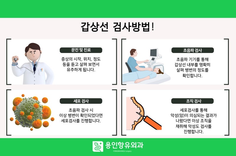 용인갑상선암 조기검진으로 예방해야 하는 이유