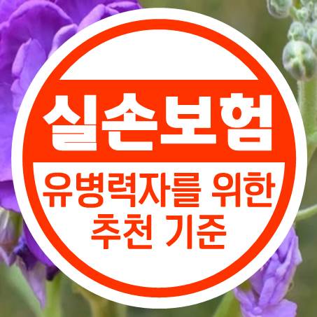 금액과 심사 및 청구까지 생각한 유병력자실손보험 추천