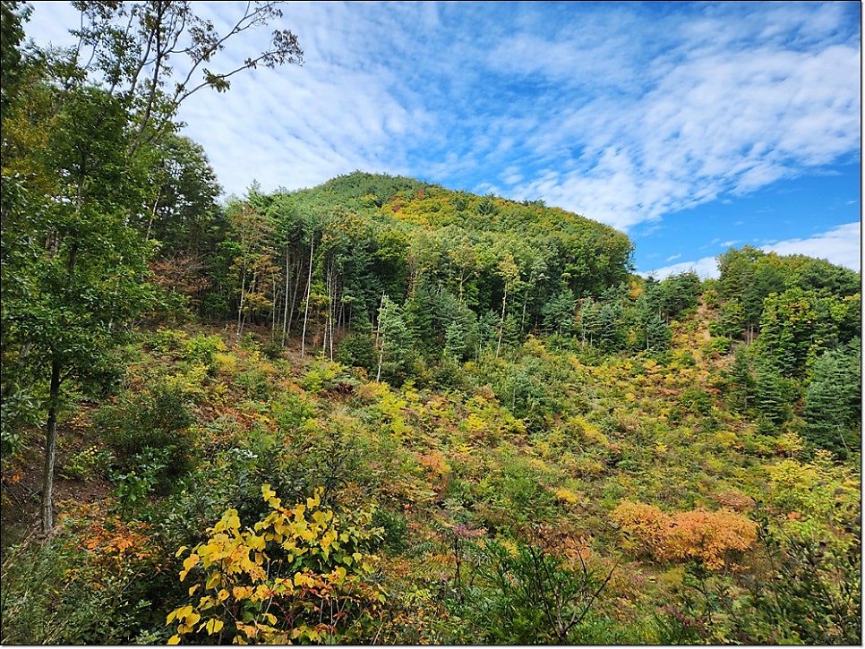 독모산 사진 1