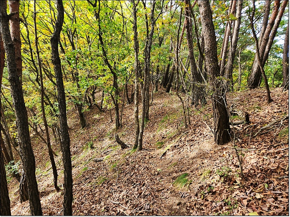 독모산 사진 3