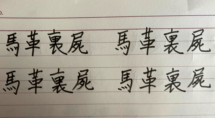  < 마혁과시 >