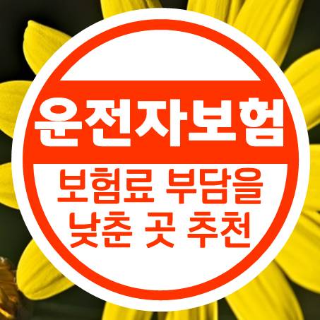  최소 1만 원이 넘지 않는 운전자보험료 저렴한 곳 소개