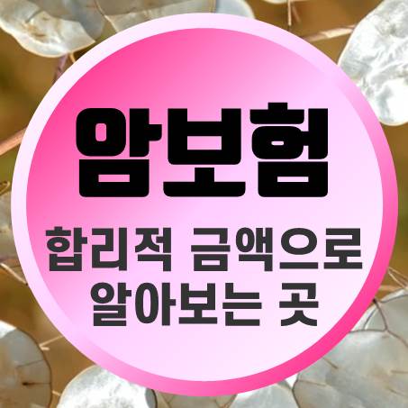  합리적인 금액으로 인터넷암보험 알아보는 곳