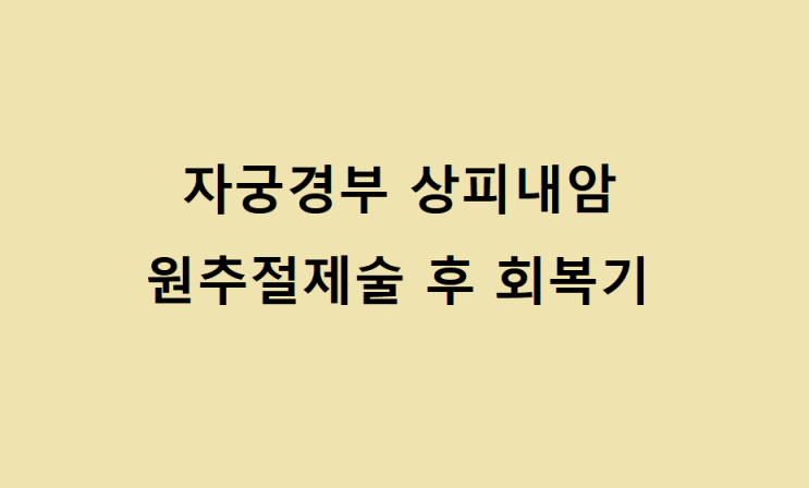  자궁경부 상피내암 판정부터 원추절제술 후 현재까지의 까지의 기록-8