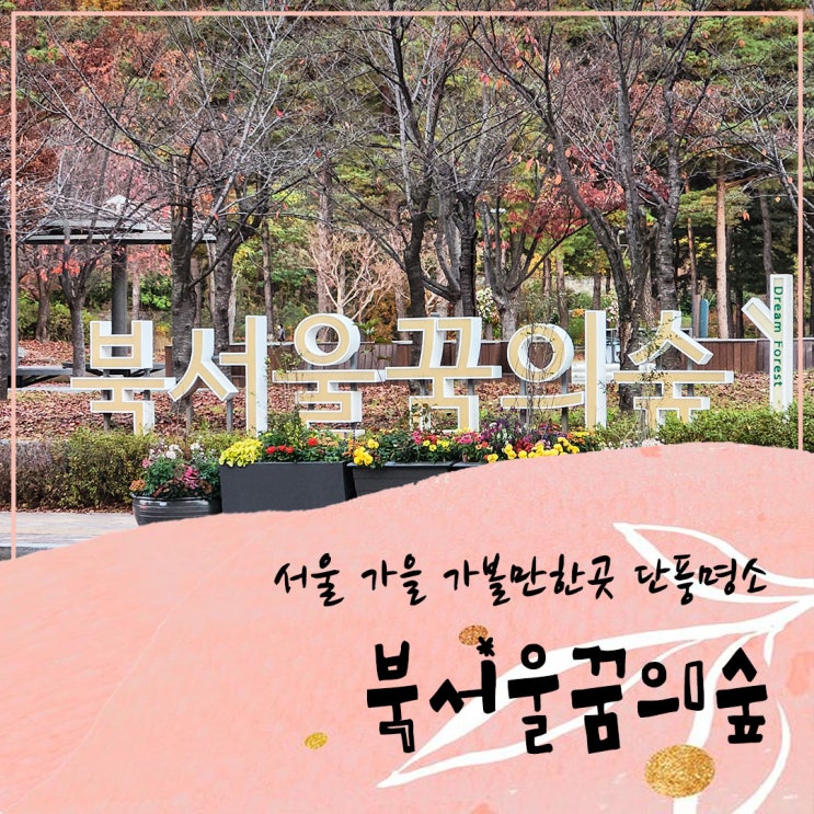  서울 가볼만한곳 가을 단풍명소 북서울꿈의숲 나들이 가요