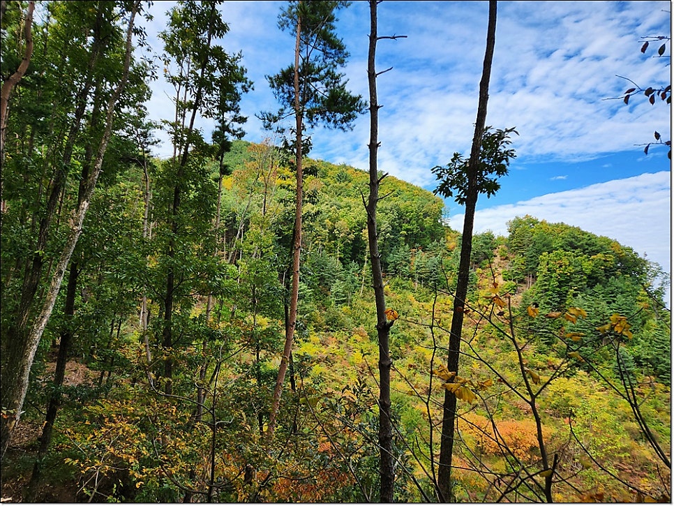 독모산 사진 5
