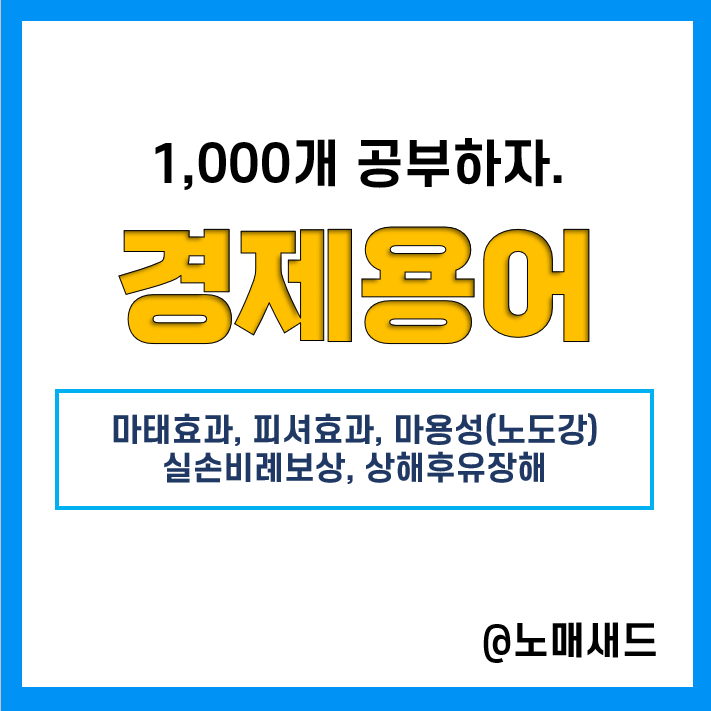 경제용어 :: 마태효과, 피셔효과, 마용성(노도강), 실손비례보상, 상해후유장해