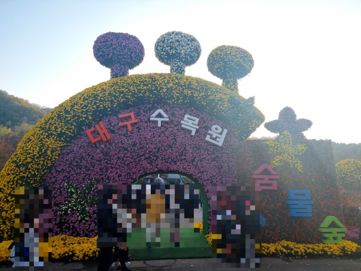 2022 대구수목원 국화축제 / 11월 가볼 만한 곳 (feat. 주말 주차) 2022 대구수목원 국화축제 / 11월 가볼 만한 곳 (feat. 주말 주차)