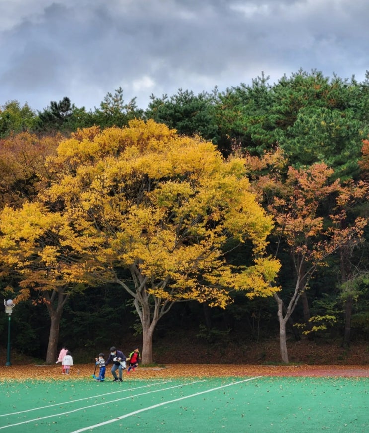  저번주 주간일기 스타트