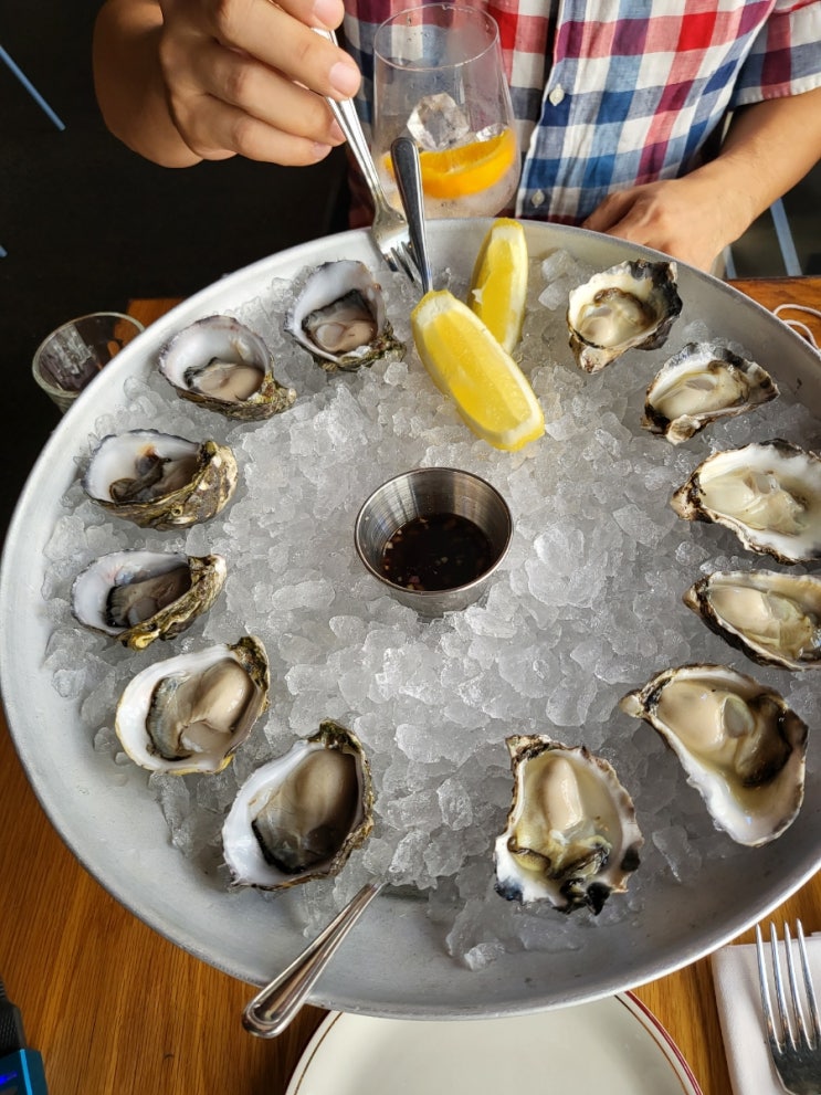  시드니 현지인맛집 모리슨바 오이스터룸 킹슬리 스테이크 하우스 Morrison Oyster Kingley Steakhouse
