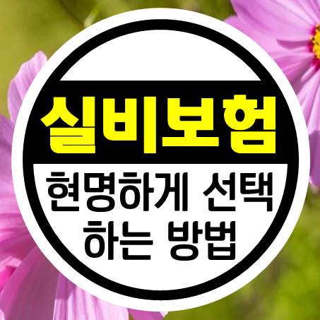  회사별로 차이 나는 60대실비보험 현명하게 선택하는 방법