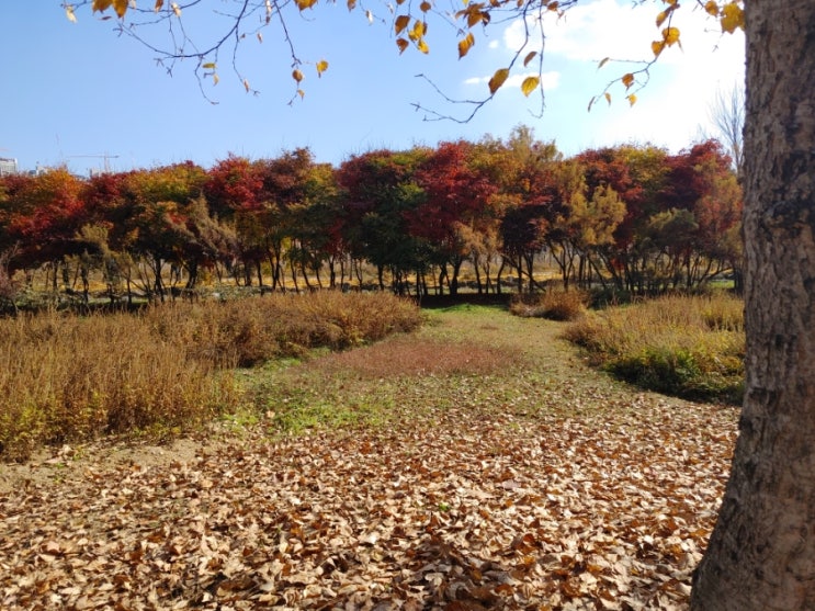  드림파크 공원 산책하기