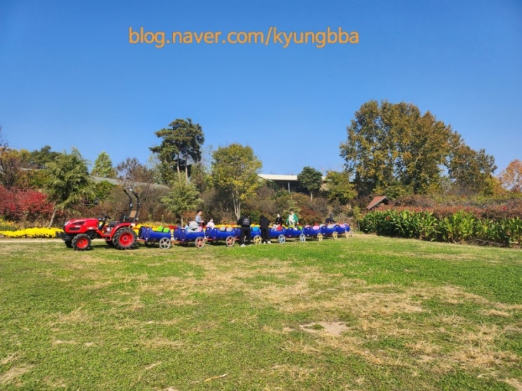  예산 가볼 만한 곳 _ 아그로랜드 태신 목장(아이와 함께 가기 좋은 곳)