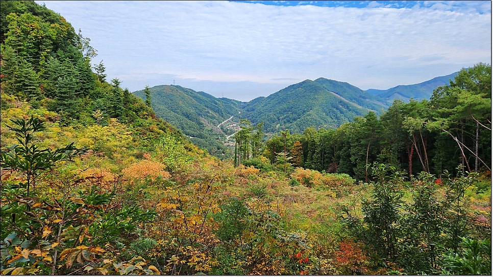 독모산 사진 6