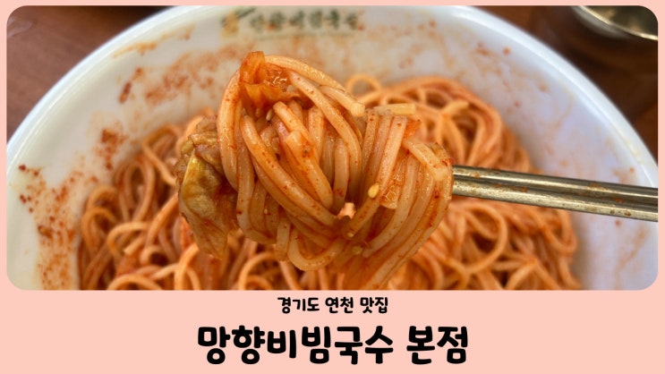  경기도 연천 맛집 맵단의 끝판왕 망향비빔국수 본점 (비빔국수, 잔치국수, 만두) 애견동반가능